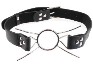 Fetish Fantasy Spider Gag
-1