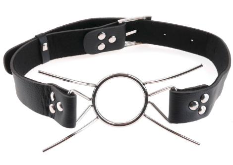 Fetish Fantasy Spider Gag
-1