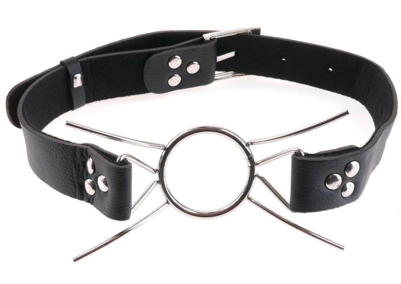 Fetish Fantasy Spider Gag
-1