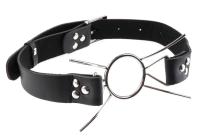 Fetish Fantasy Spider Gag
-2