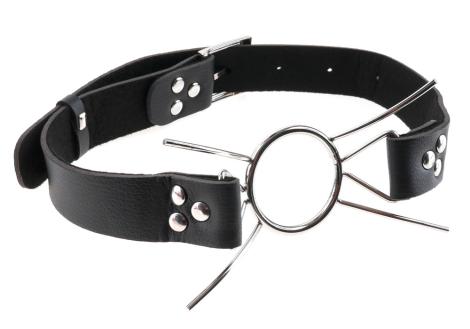 Fetish Fantasy Spider Gag
-2