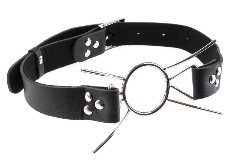 Fetish Fantasy Spider Gag
-2