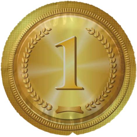 EXS Gold Medalje 24 stk-2